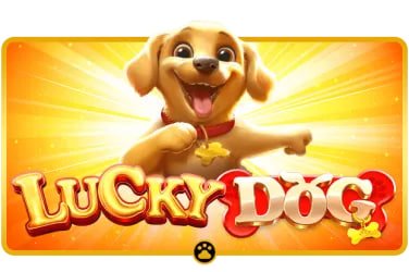 22bet apk